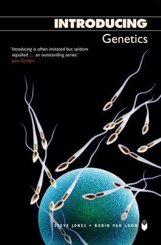 Introducing Genetics by Steve Jones: Used