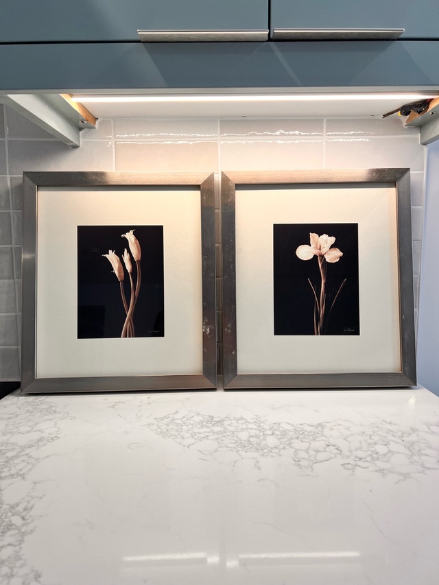 framed floral wall art (set of 2)