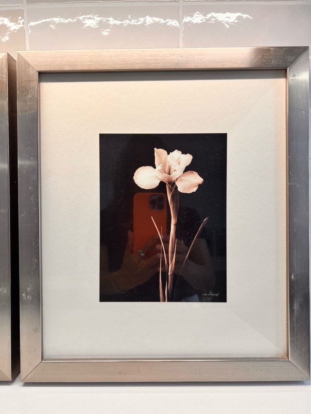 framed floral wall art (set of 2) - photo 2