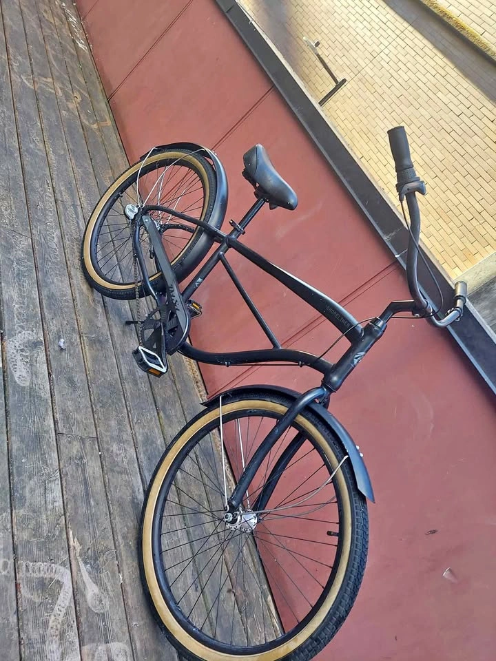 Del Sol Shoreliner Cruiser Bike