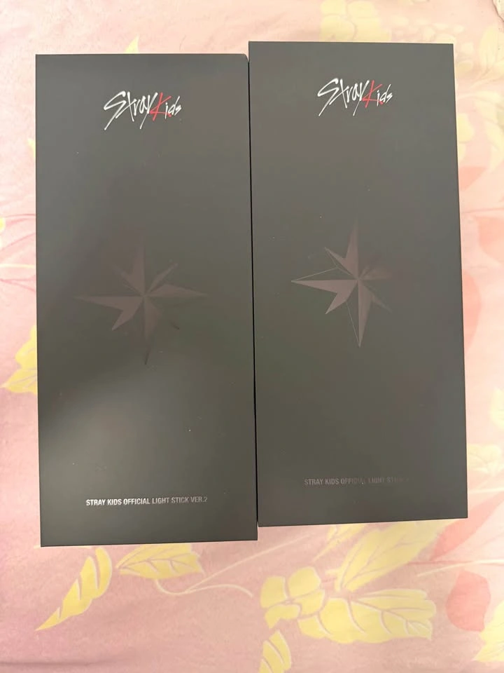 Stray Kids Official Light Stick Ver.2 - photo 4