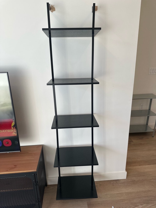 Ladder Shelf