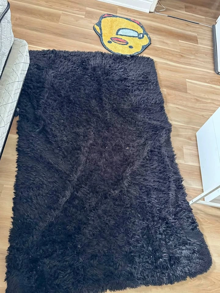 Black Shaggy Area Rug