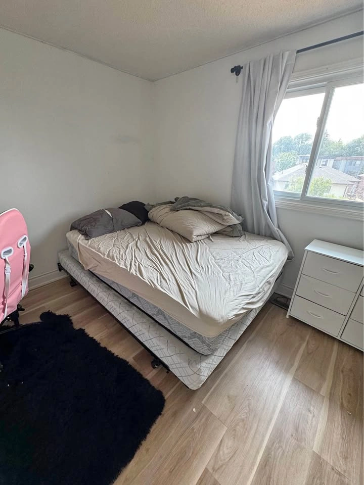 Queen Sealy Posturepedic Mattress