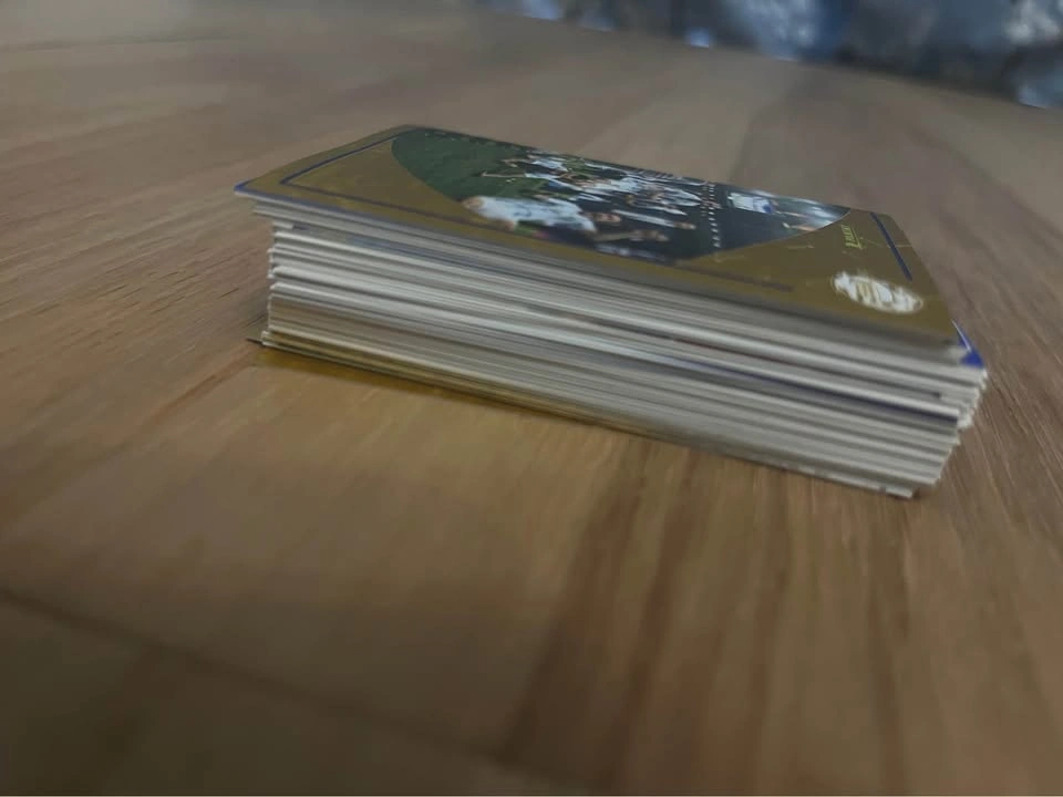 Panini Copa America 2024 Stickers - photo 2