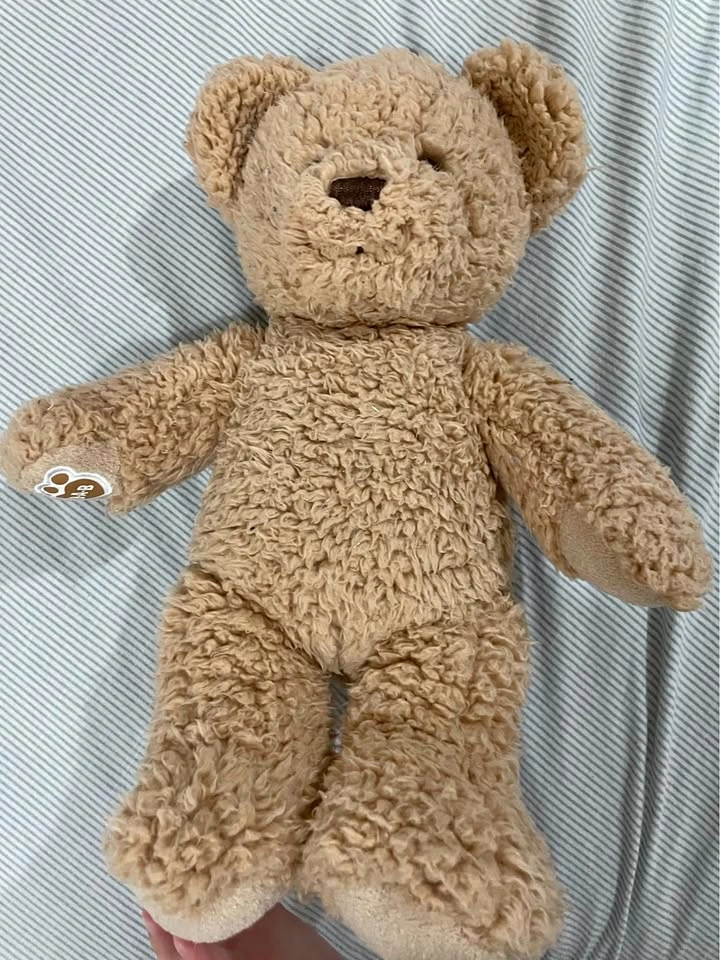 Build a bear