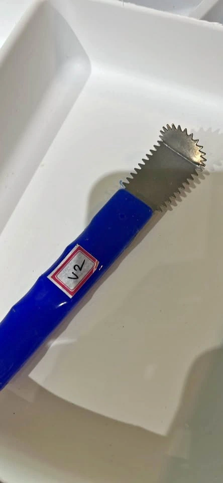 Stainless Steel Coconut Scraper
