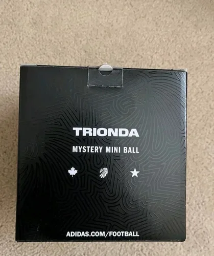 FIFA World Cup 2026 Trionda Mystery Mini Soccer Ball