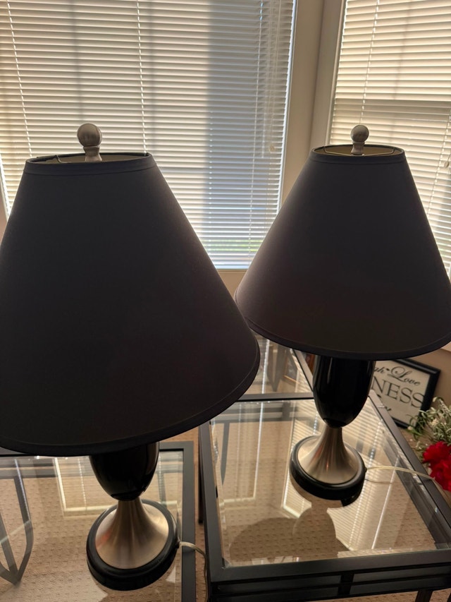 Pair of Black and Silver Table Lamps