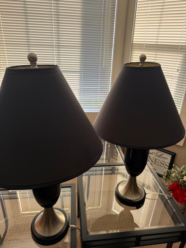 Pair of Black and Silver Table Lamps - photo 2