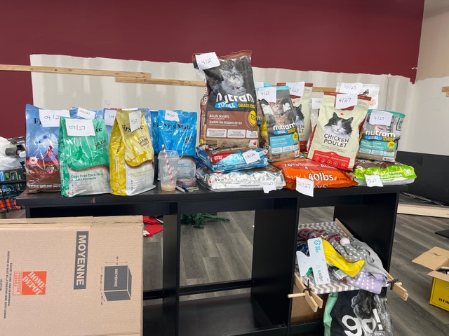 PET STORE CLOSING SALE - photo 3