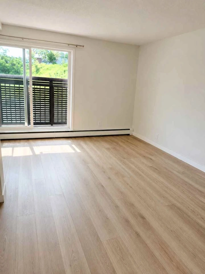 1 Bed 1 Bath - Apartment