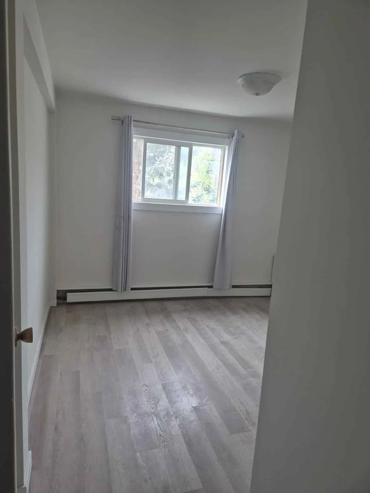1 Bed 1 Bath - Apartment - photo 3