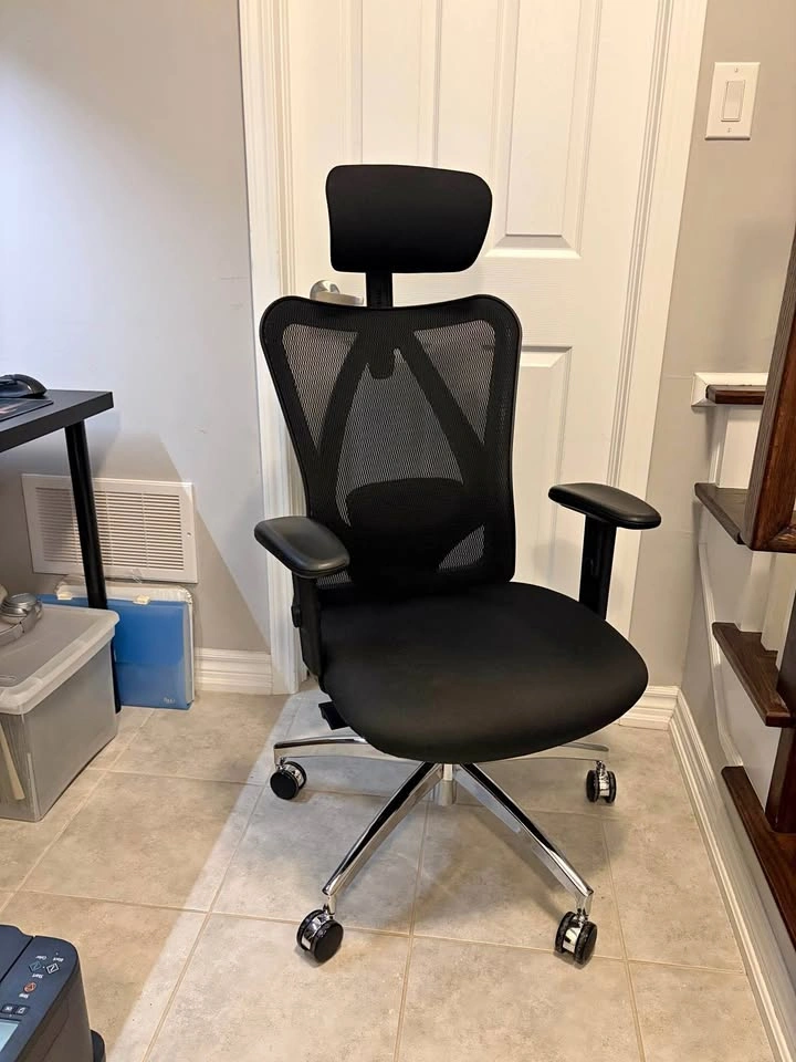 Sihoo M18 Ergonomic Office Chair & IKEA Desk Setup