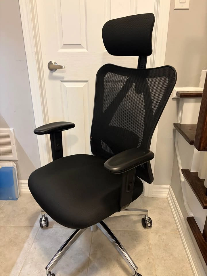 Sihoo M18 Ergonomic Office Chair & IKEA Desk Setup - photo 3