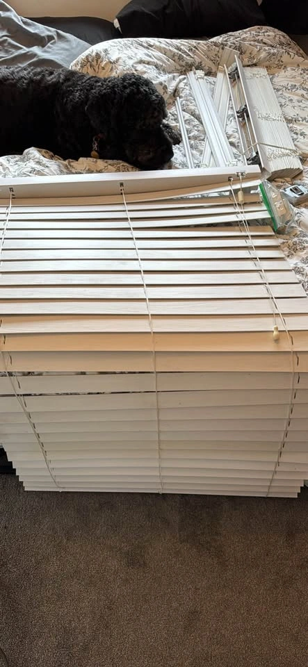 Blinds 64.5” x 49ish - photo 4
