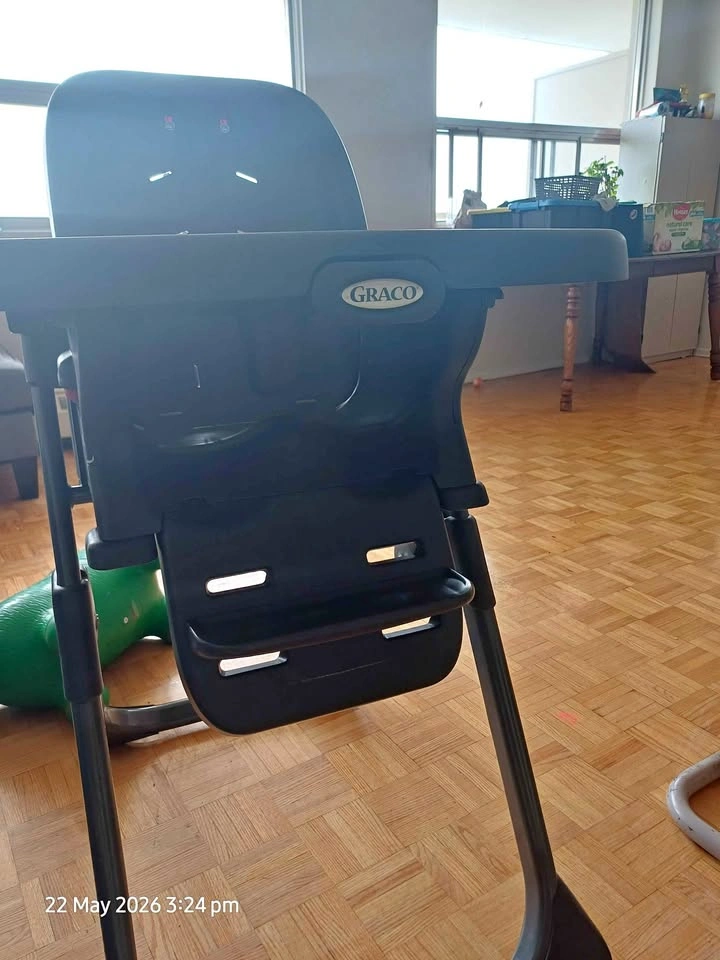 Graco High Chair