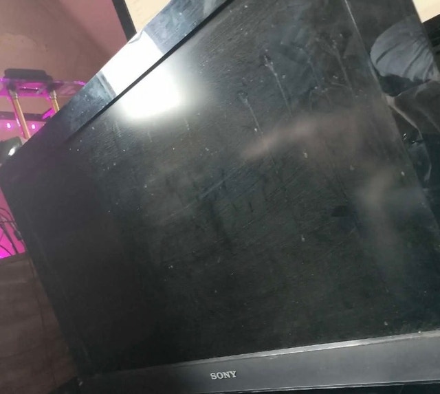 Sony BRAVIA LCD and Insignia LED TVs