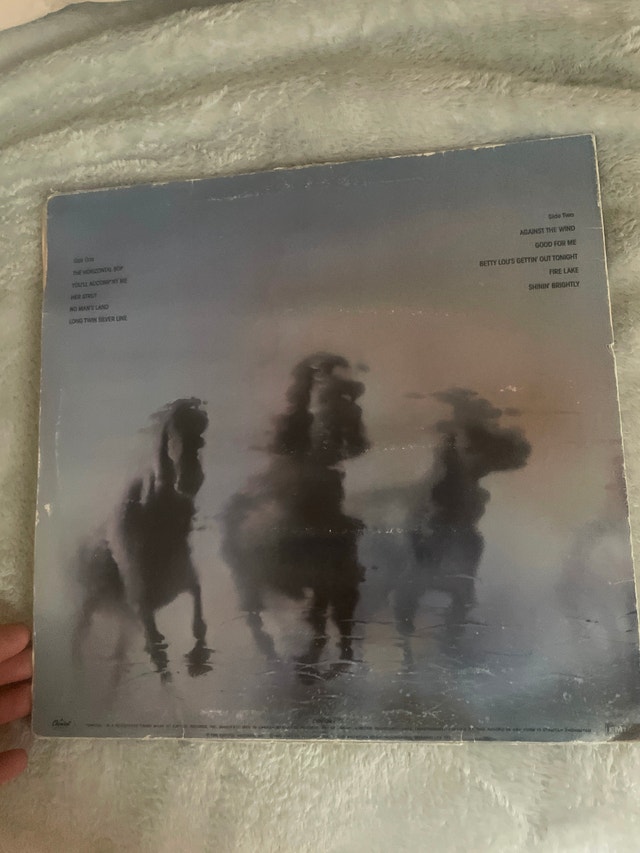 Bob Seger Against the Wind (Vinyl) - photo 2