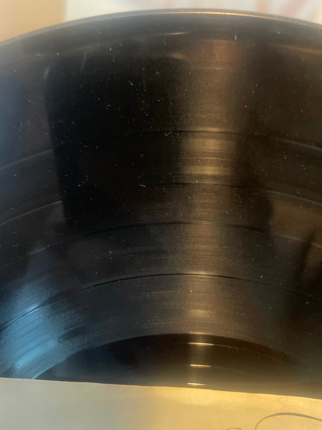 Bob Seger Against the Wind (Vinyl) - photo 3