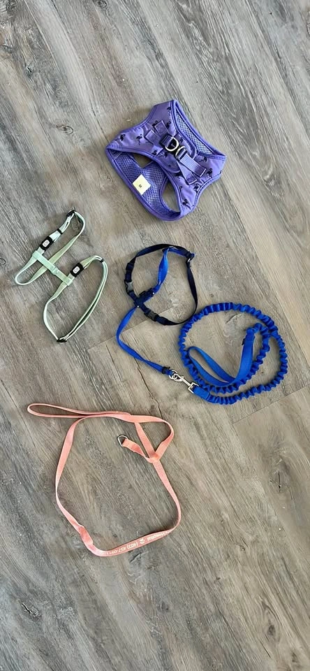 Pet Items