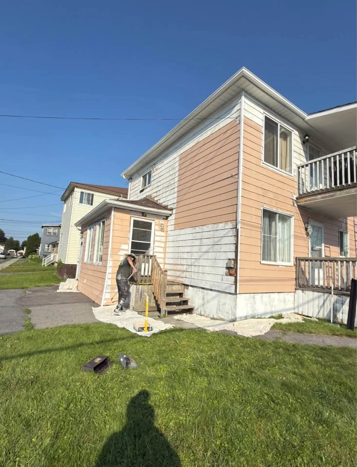 House paint - photo 2