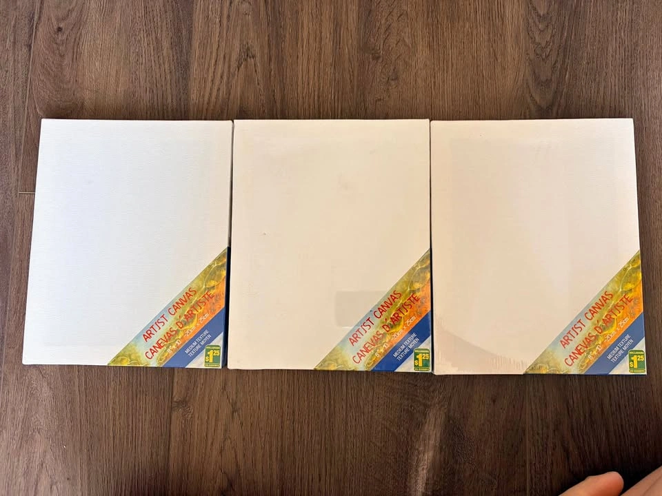 3 Artist Canvas - 8” x 10” (20 x 25 cm)