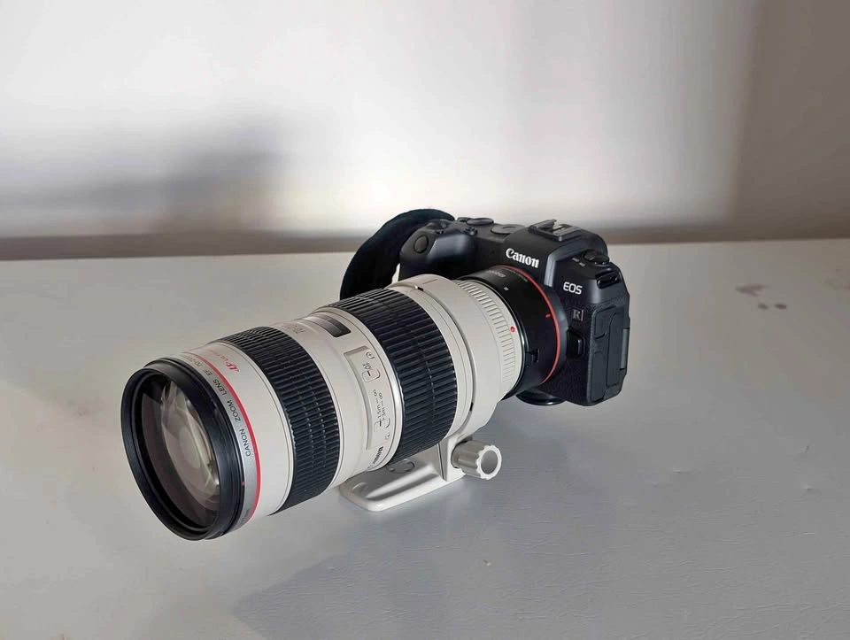 Canon EOS RP + 70-200mm f-2.8L