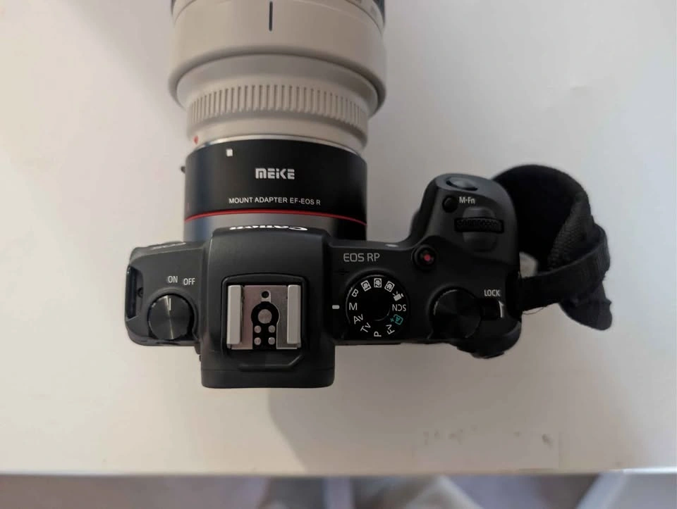 Canon EOS RP + 70-200mm f-2.8L - photo 2