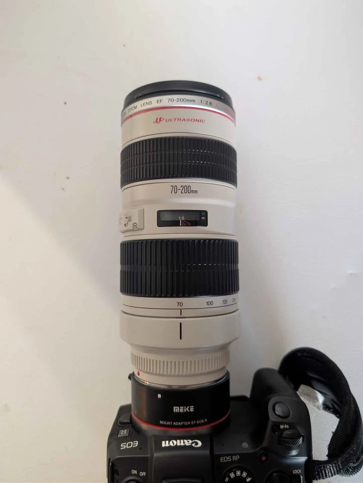Canon EOS RP + 70-200mm f-2.8L - photo 3