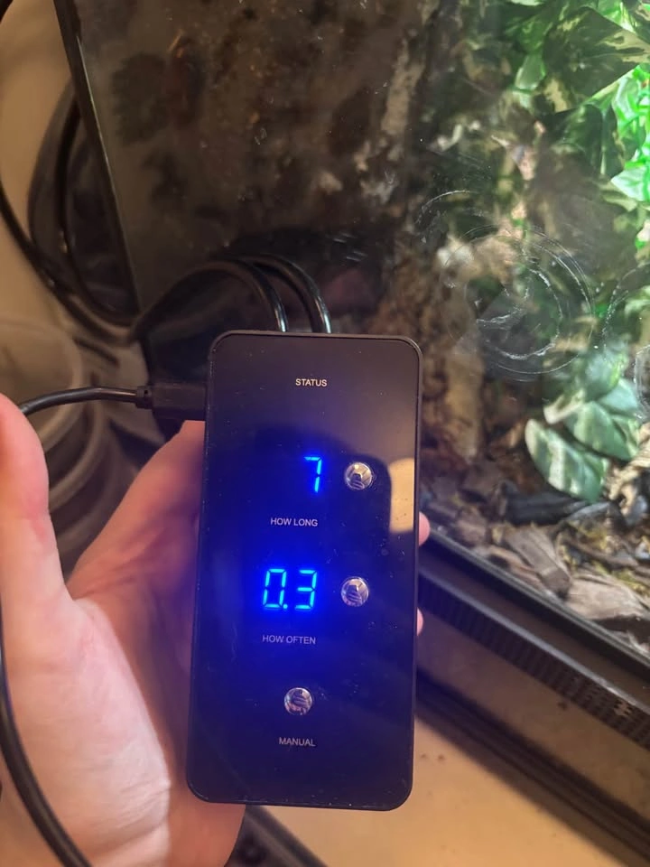 bioactive Terrarium - photo 5