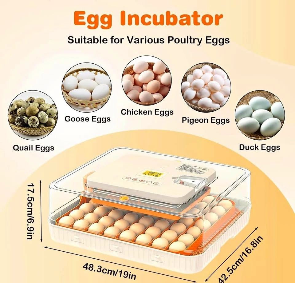 56 Egg Incubator with Built-in Egg Candler