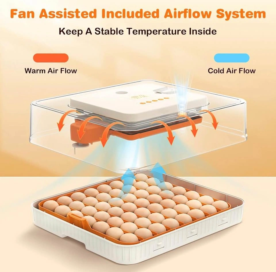 56 Egg Incubator with Built-in Egg Candler - photo 3
