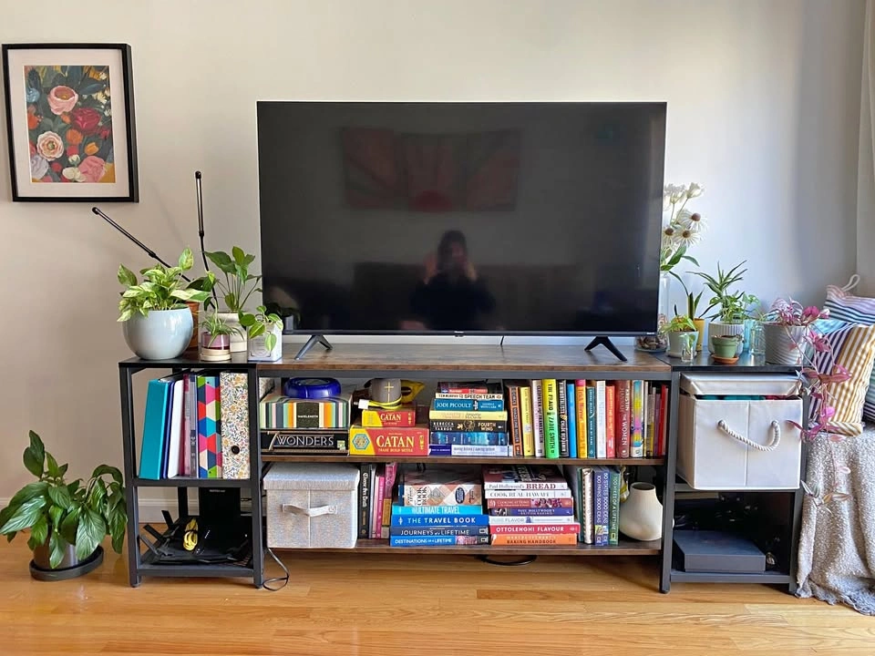 TV Stand & Media Console