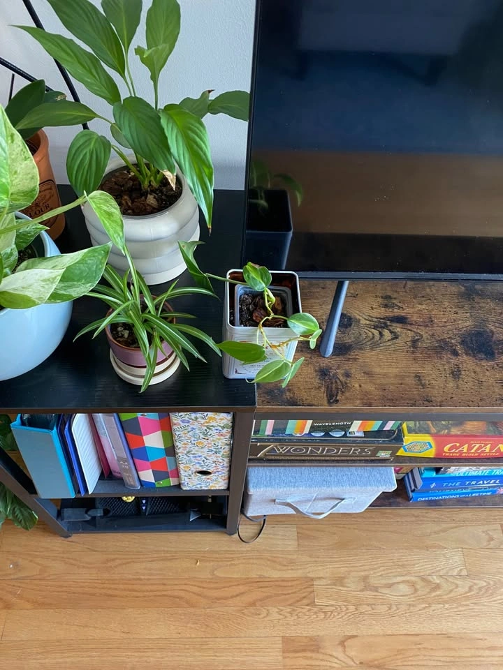 TV Stand & Media Console - photo 2
