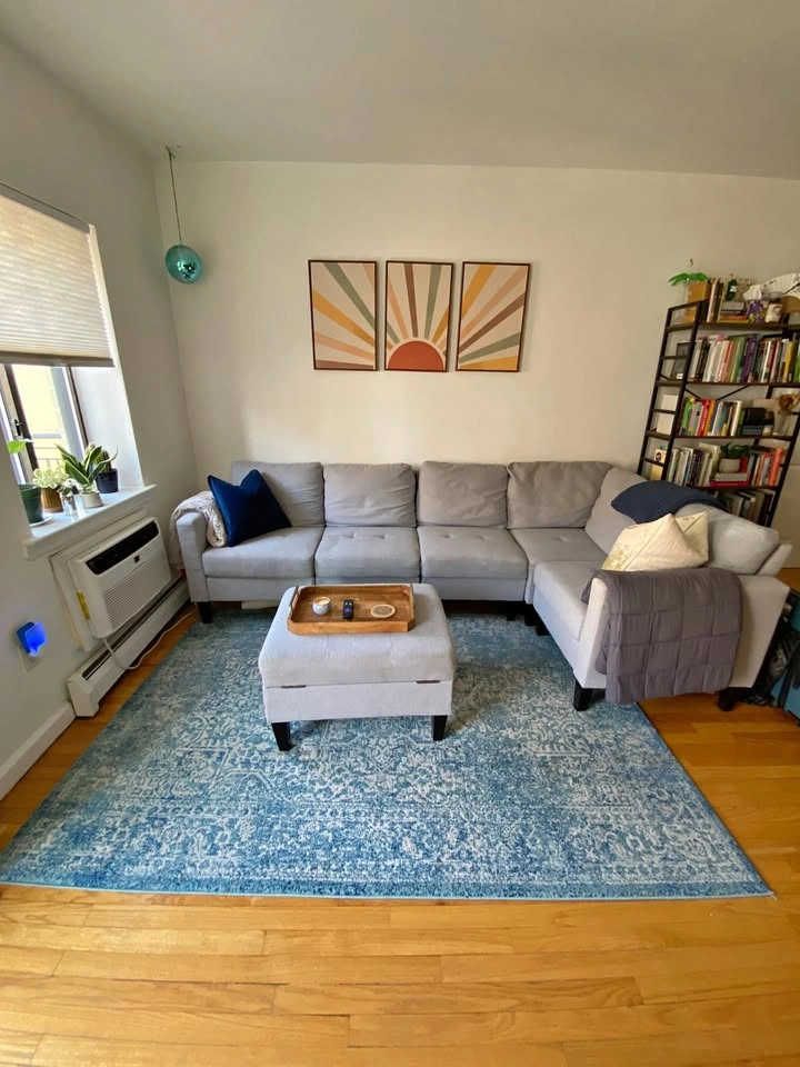 Wayfair Couch w/ Storage Ottoman