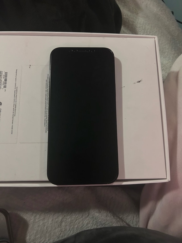 iPhone 12 Pro Max (READ DESCRIPTION) - photo 2