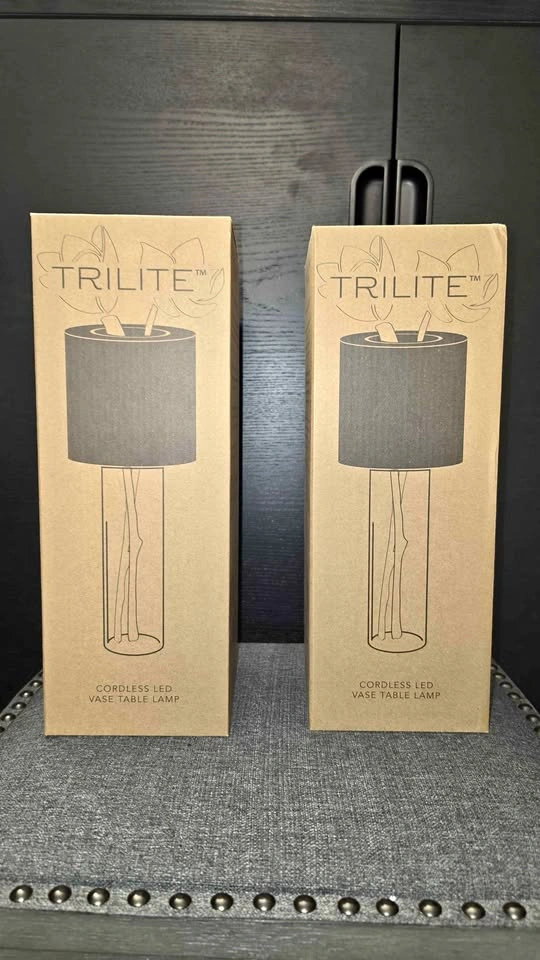 TRILITE Cordless LED Vase Table Lamp - Set of 2