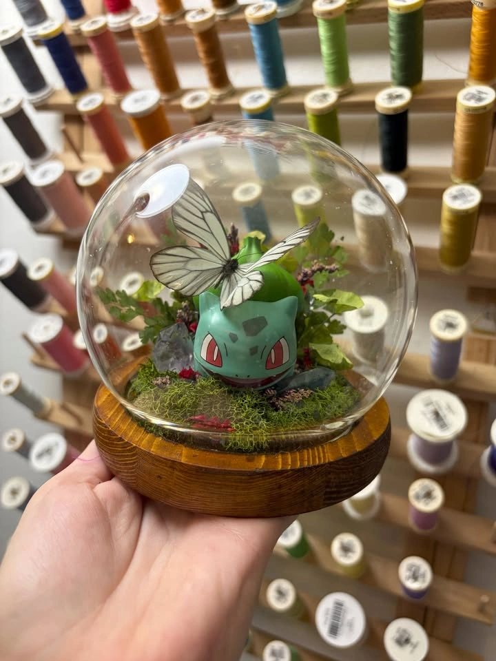 Bulbasaur and Butterfly Dome - photo 3