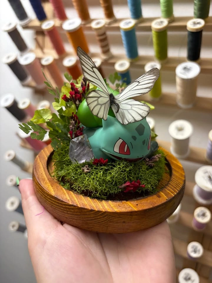 Bulbasaur and Butterfly Dome - photo 4
