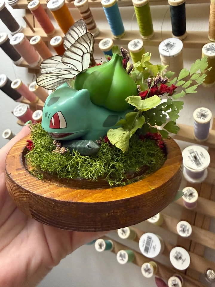 Bulbasaur and Butterfly Dome - photo 5