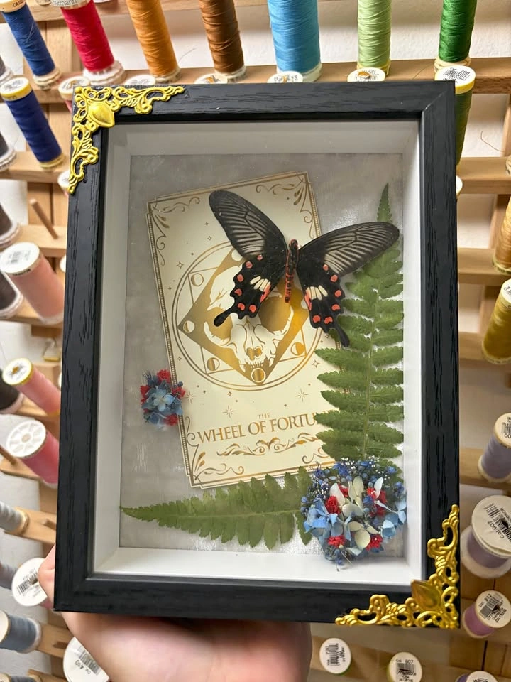 Frames Butterfly with Tarot Card