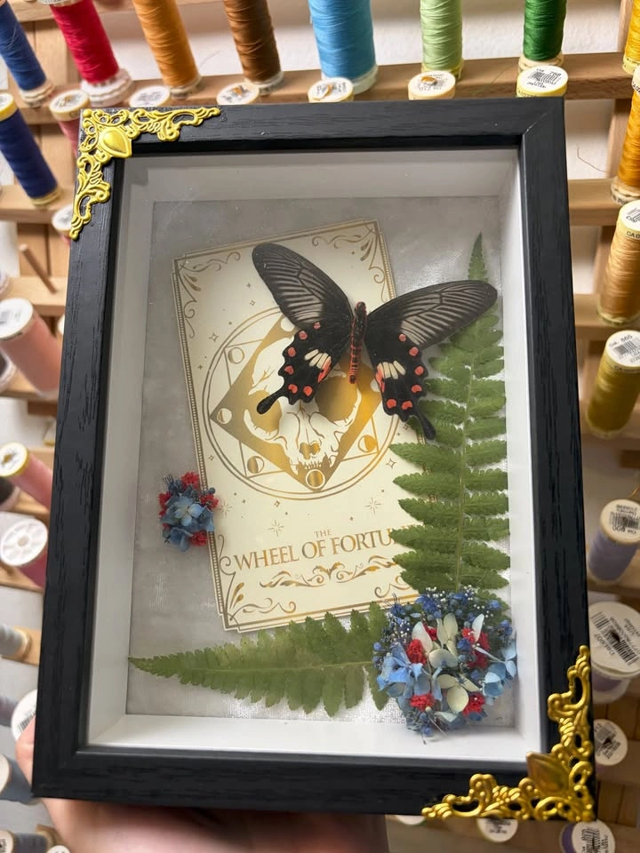 Frames Butterfly with Tarot Card - photo 2