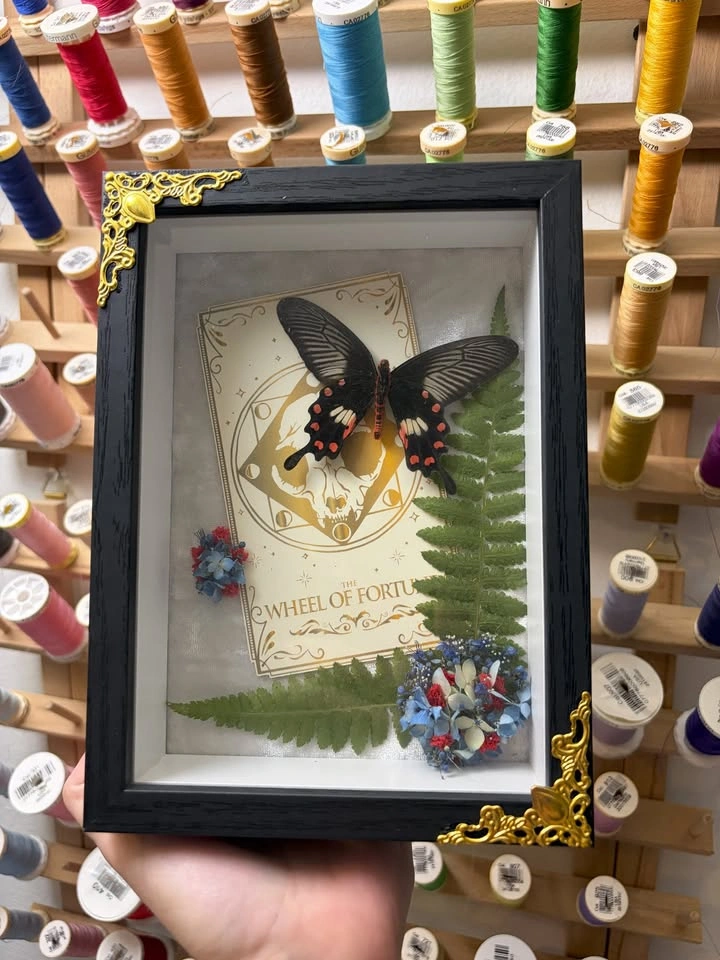 Frames Butterfly with Tarot Card - photo 3