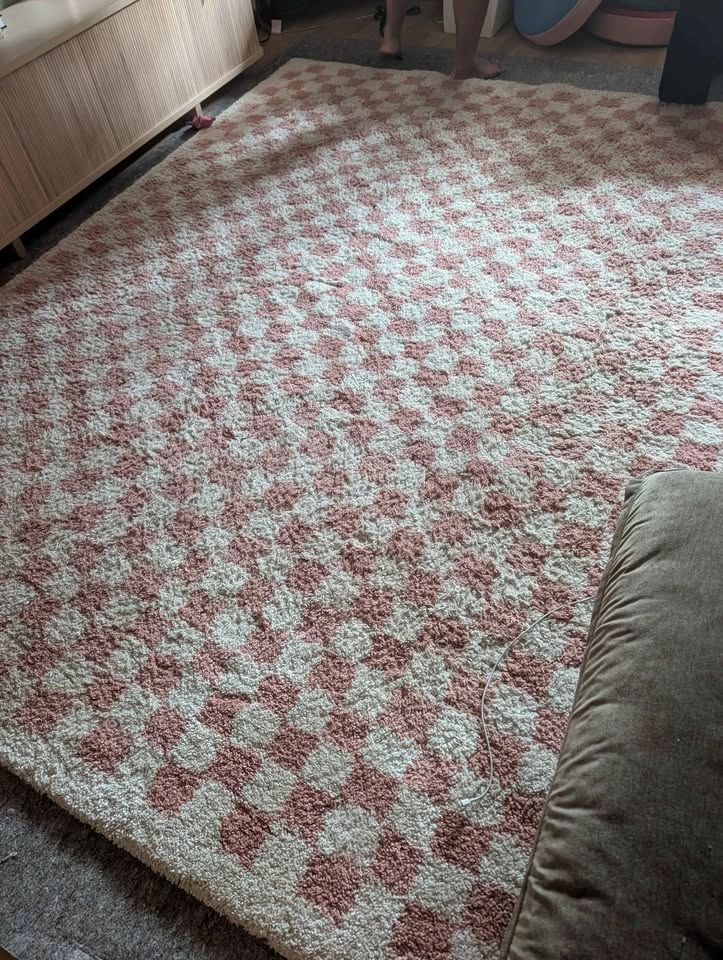 Walker Checkered Pink/Cream Plush Shag Area Rug - photo 5
