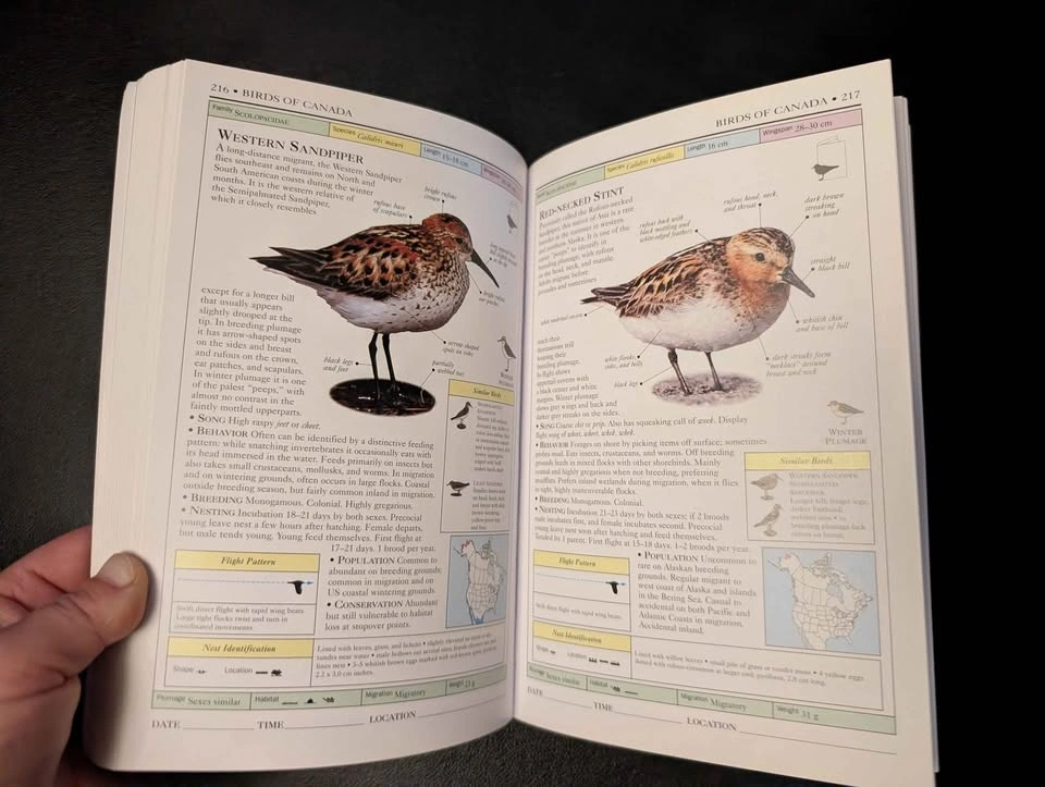 Birds of Canada Field Guide - photo 2