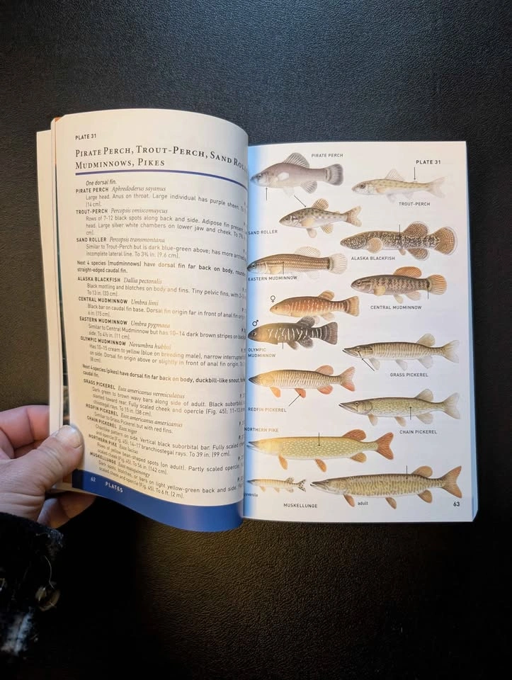 Peterson Field Guide to Fresh Water Fish - photo 2