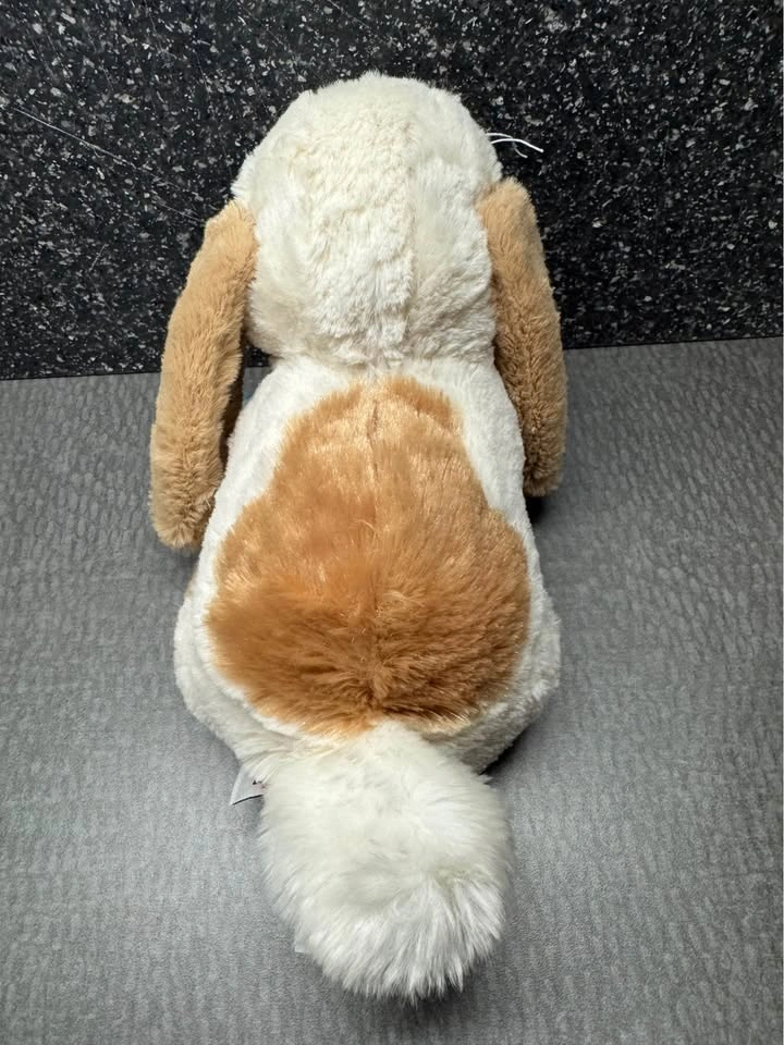 Rare hard to find Webkinz Holland Lop Bunny, New with sealed cod - photo 2