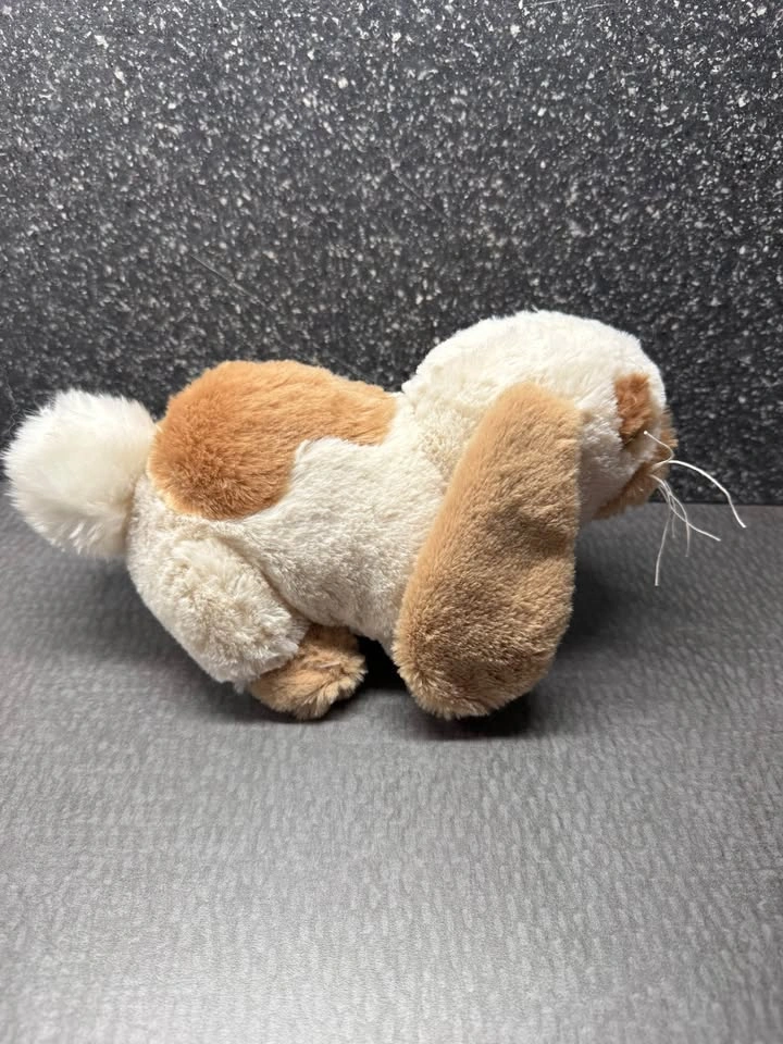 Rare hard to find Webkinz Holland Lop Bunny, New with sealed cod - photo 3