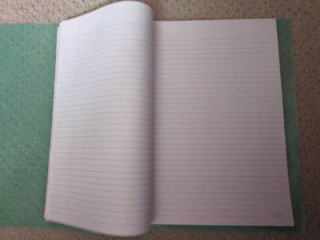 Two plastic report covers filled with paper - photo 2